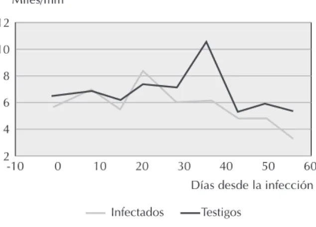 Figura 3 - Determinaciíon de células banda en perros infectados experimentalmente con Echinococcus granulosus y perros testigos.