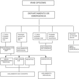 Figura -  Internación. Flujograma de pacientes.