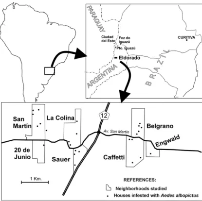 Figure - Geographic location of Eldorado City (Misiones, Argentina), and spatial distribution of the positive premises for Ae