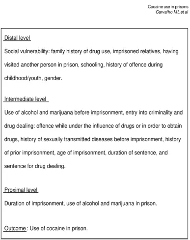 Figure  – Conceptual framework for explaining cocaine use in prison for the population of inmates of the Rio de Janeiro Penitentiary System