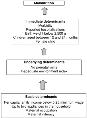 Figure  - H ierarchical model of malnutrition determinants during childhood. Bahia, Northeastern Brazil, 1999-2000.