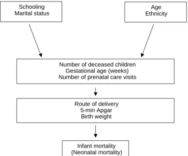 Figure  - Multivariate model for the determination of infant and neonatal mortality.