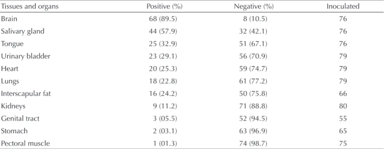 Table 3. Distribution of the rabies virus in the tissues and organs of naturally infected bats, evaluated by means of inoculation  in N2A cell cultures