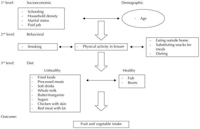 Figure 1. Theoretical framework, structured into hierarchical blocks, for analysis of fruit and vegetable intake among adults  living in the city of Sao Paulo, Southeastern Brazil.