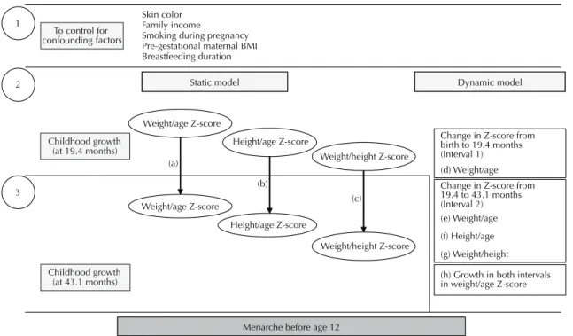 Table  1  shows  a  summary  description  of  the  sample  including skin color, family income, smoking during  pregnancy, anthropometric and growth pattern  varia-bles,  among  others