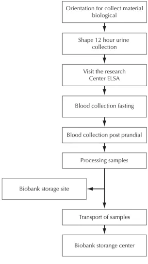 Figure 1. General organization of the biobank protocol.