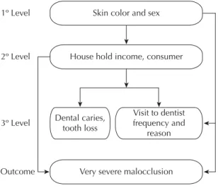 Figure 2. Description of the independent variables used in  the study.