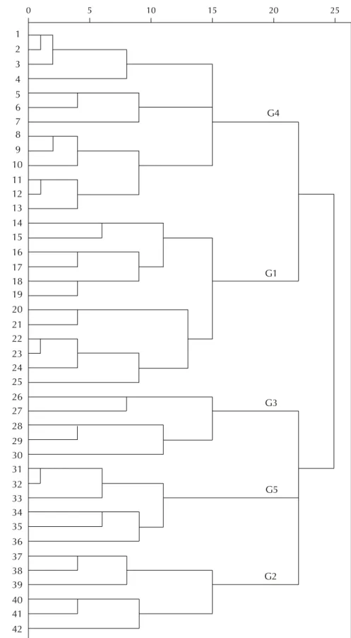 Figure 2. Dendrogram of the clustering for binary data with the squared Euclidean distance, by the  farthest neighbor method, with formation of five groups of services with similar features.