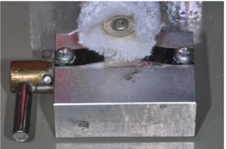 Figure 1. Device used for the re-polishing procedures.