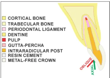 Figure 1. Description of the simulated model for analysis.