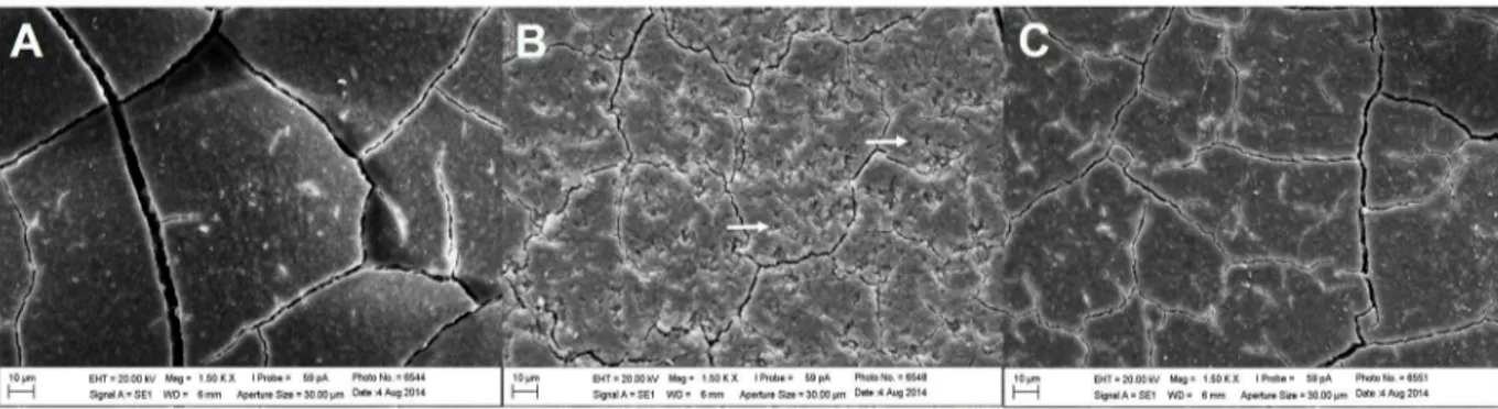 Figure 4. SEM images of surface morphology for zinc phosphate group (1500 X): (A) baseline; (B) ater erosive challenge and (C) ater saliva  immersion