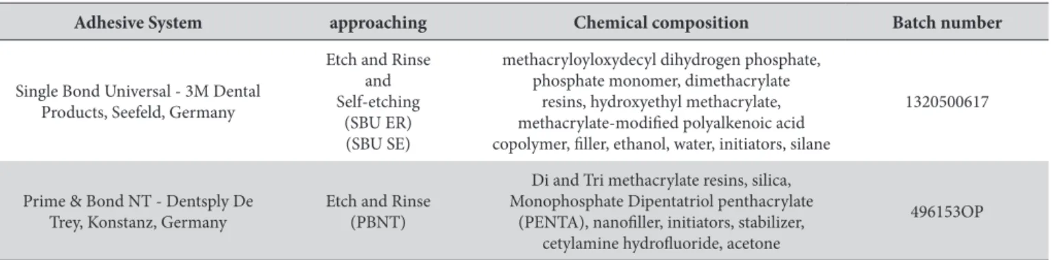 Table 1. Adhesive Systems with approaching, chemical composition and batch number