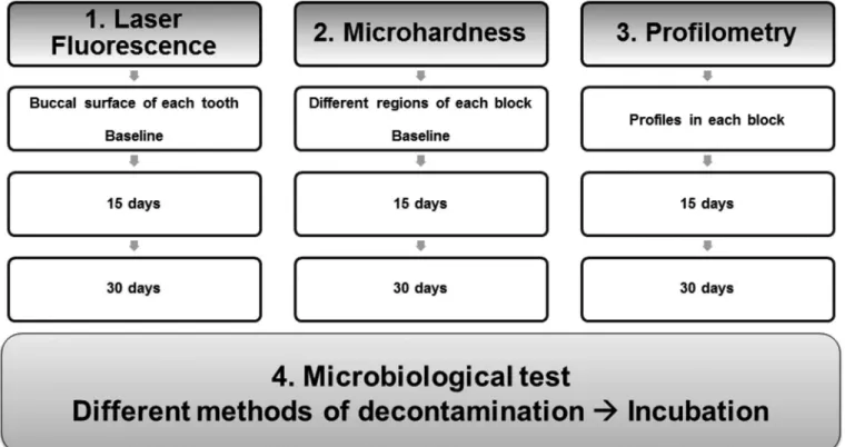 Figure 1. Diferent methods applied to analyze the eicacy and maintenance of solutions tests.
