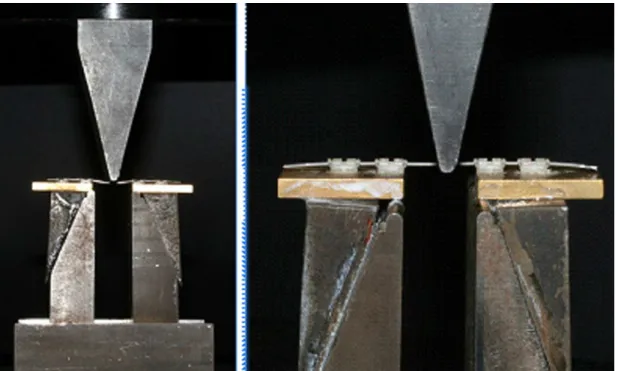 Figure 1. Application of force delection in the specimen.