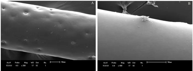 Figure 1. Photomicrographs of as-received coated archwires: (A) Ortho Organizers; (B) Tecnident.