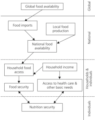 Figure 1. Food and nutrition security distal, intermediate and proxim al det erm inant s