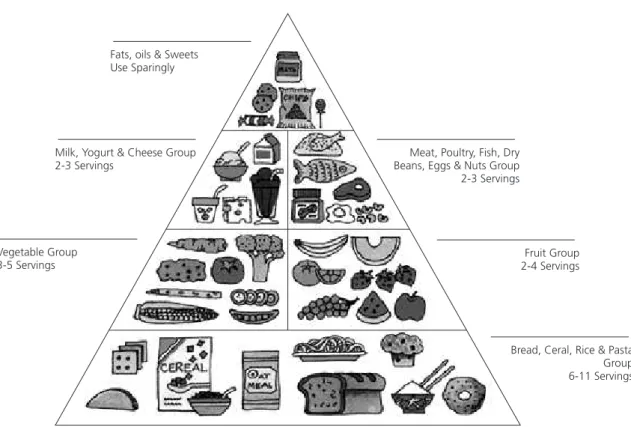 Figure 1:  Food Guide Pyramid.