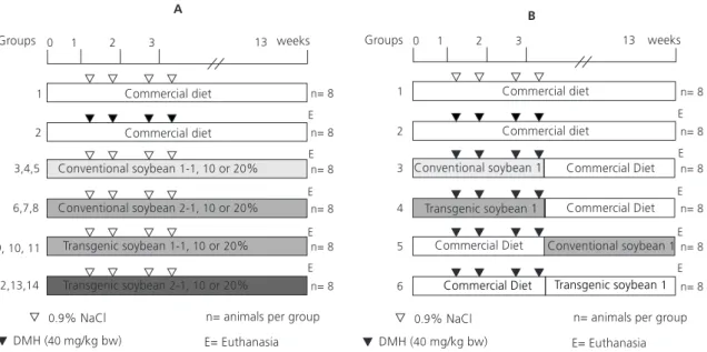 Figure 1. Protocols for (A) the inductive effect experiment of soybeans and (B) the chemopreventive experiment of soybeans in colon carcinogenesis.