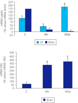 Figure 2. Relative expression of the leptin and Fat Acid Synthase (FAS) genes in adipose tissue and brain of  3.5-month-old male Wistar rats fed after weaning for 98 days (n=6) standard diet (C), standard diet plus 15% high-fructose corn syrup solution (Hi