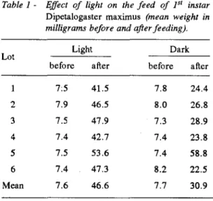 Table 1  -  Effect  o f   light  on  the  fe e d   o f   l st  instar D ip e t a lo g a s te r   m a x im u s   (mean  weight  in milligrams  before and afier feeding).