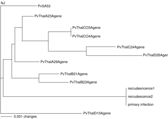 Figure 1 - Dendogram of  Plasmodium vivax from different sources.