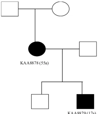 Figure 1 - Dendogram showing evidence of vertical transmission of HTLV-II in the Kararao village