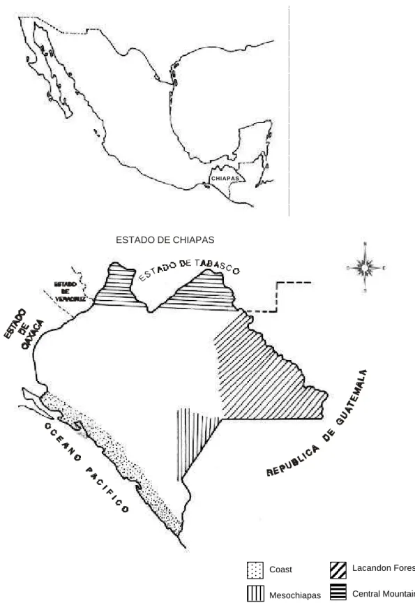 Figure 1 - Localization of the areas Chiapas State.