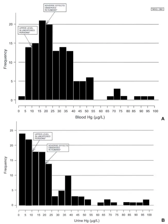 Figure 1 -  Histogram of blood (a) and urinary (b) mercury levels among 135 persons associated with a Brazilian gold mine.