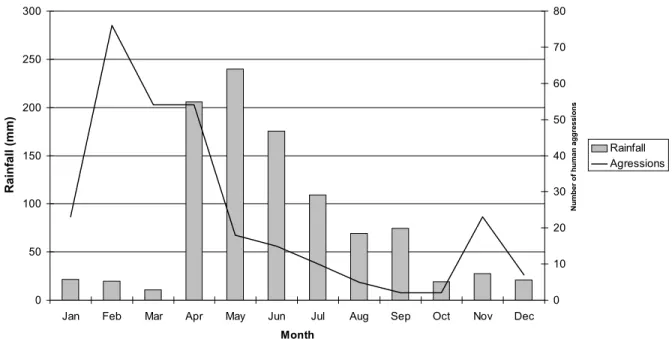 Figure 1 - Average rainfall (bars) and number of bats attacks upon human beings (line) by month in Apora in 1991
