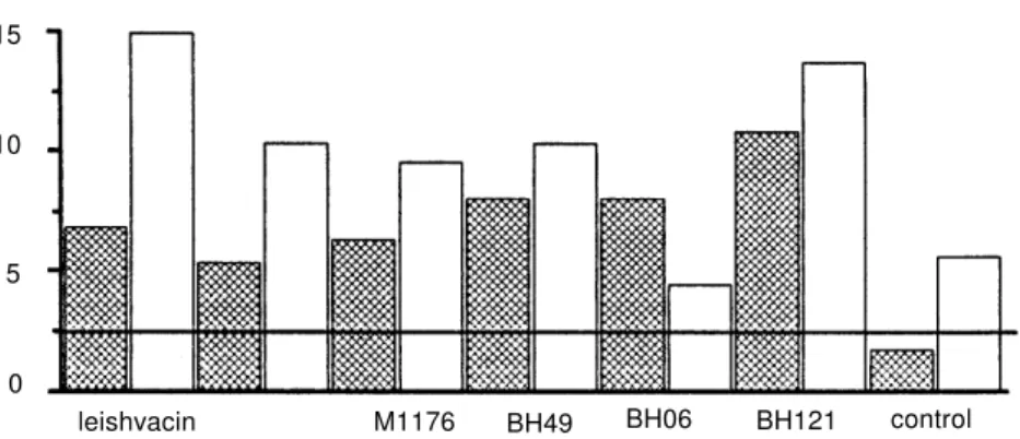 Figure 4 shows that all the vaccinated groups produced IFN-γ in average levels higher than 570 ± 141.72 pg/