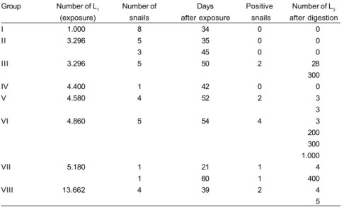 Table 1 - Groups of Achatina fulica infected with L 1 Angiostrongylus costaricensis and mean number of L 3  eliminated after digestion, according to Wallace and Rosen (1969).