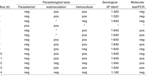 Table 4- Comparison of results of parasitological tests, serology and PCR in mice infected with the clone CI-Col-C7, treated with benznidazole.