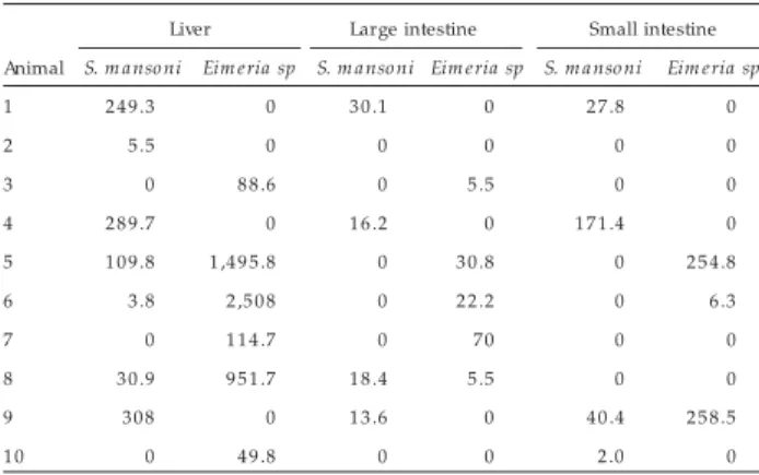 Table 1 - Num ber of eggs of  S. mansoni  and cysts of  Eimeria sp  per g of tissue of  C