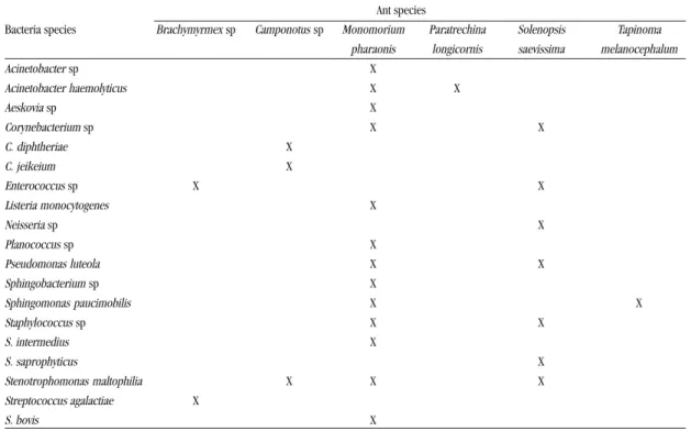 Table 2 - Association between bacteria and ant species sampled monthly in hospital “A” in the municipality of Chapecó, State of Santa Catarina, Brazil, from August 2003 to July 2004.