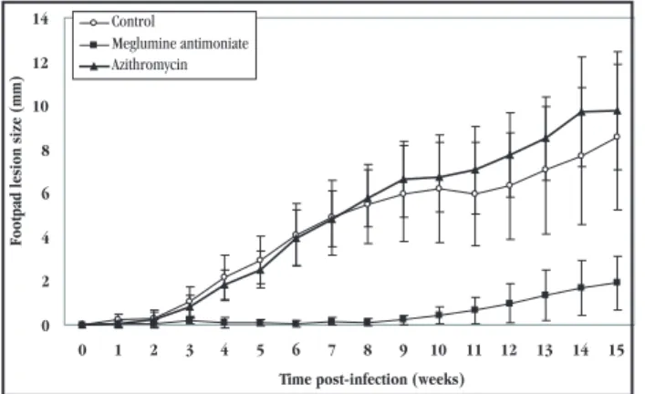 Table 1 - Positive cultures of lesions (skin), regional lymph nodes, liver  and spleen at 10 weeks post infection in animals infected with Leishmania  (Leishmania)  amazonensis  IFLA/BR67/PH8  and  treated  with  meglumine  antimoniate for 4 weeks or azith