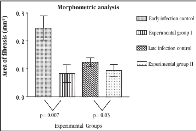 Figure 2 - Effect of partial hepatectomy on Capillaria hepatica-induced septal hepatic fibrosis in rats: comparison of the degree of fibrosis during  early (30 day-old) and late (90-day-old) infections, with respective  controls