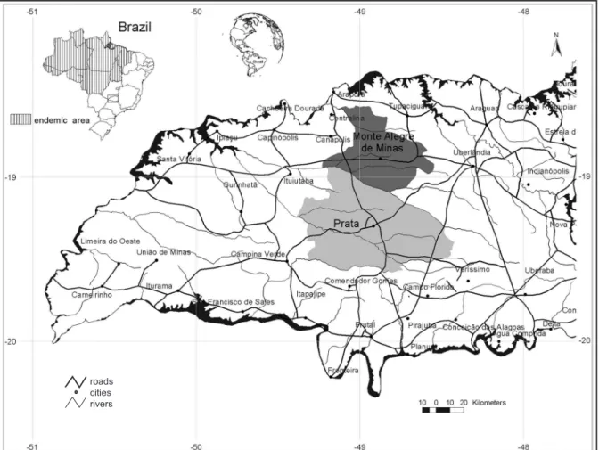 Figure 1 - Geographical location of the municipalities of Monte Alegre de Minas and Prata, Minas Gerais, highlighting the extensive road  network of the region.