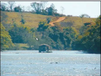 Figure  2  -  Tejuco  river,  which  forms  the  boundary  between  the  municipalities  of  Monte  Alegre  de  Minas  and  Prata,  Minas  Gerais,  highlighting dredging activity for diamond prospecting (triangle).