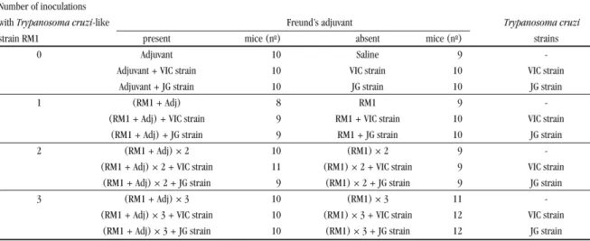 Table 1 - Distribution of the 24 groups according to the variables evaluated (number of inoculations with Trypanosoma cruzi-like strain  RM1, presence or absence of adjuvant and challenged strain of Trypanosoma cruzi) and number of animals in each group.