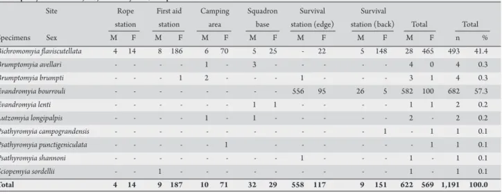 TABlE 1 - Number of phlebotomines captured in Disney traps installed in forested areas of the 10 th  Mechanized Cavalry Regiment (10 o  RCMec) in the  municipality of Bela Vista, MS, from May 2004 to April 2006.