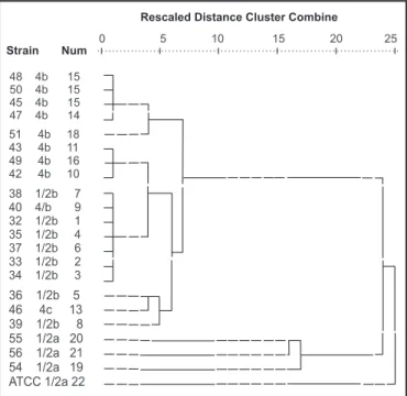 FIGuRe 2 - aPD typing of the L.  monocytogenes strains, using the primer   uBc 127. M: molecular weight - Kb ladder, 37: (A37), 45: (A45), 46: (A46), 47: 