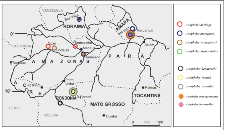 FIGURE 1 - Collection sites for Anopheles species belonging to the Nyssorhynchus and Anopheles subgenera, Amazon region.