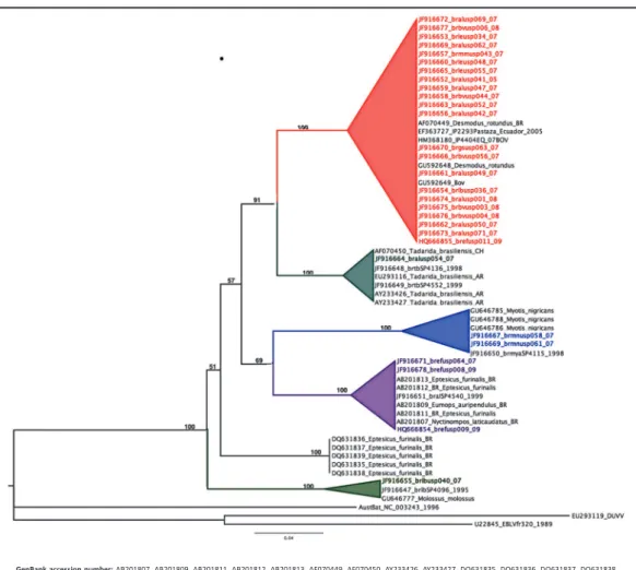 FIGURE 1 - Phylogenetic tree with maximum likelihood reconstructed with MEGA4. Bootstrap values obtained with 10,000 replicas.