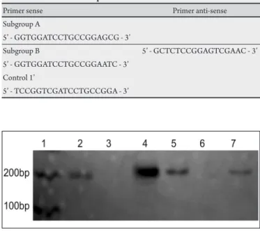 TABLE 1 - Primer sequences used for genotyping the  Giardia duodenalis  isolates  from human and canine samples.