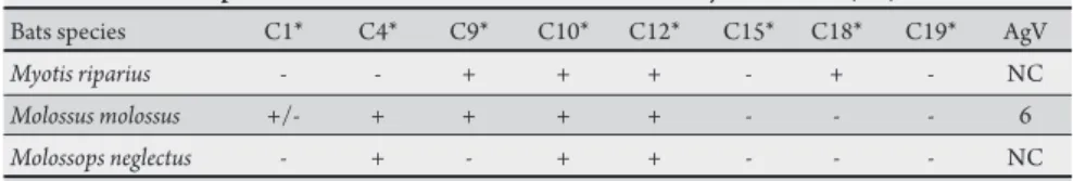 TABLE 1 - Reaction paterns detected in isolates of bats from the city of São Paulo, SP, Brazil.