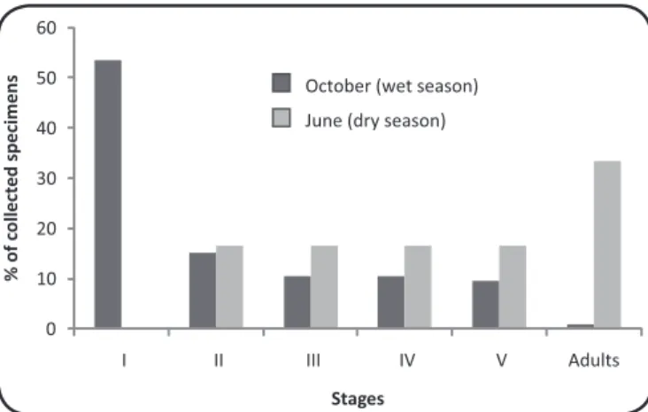 FIGURE 1 - Percentage of specimens of Triatoma costalimai collected in Mambaí, State  of Goiás in October (wet season) and June (dry season), by stage of development.