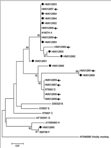 FIGURE 2 - Neighbor-Joining phylogenetic tree from hepatitis B virus DNA   ( S  gene) representing the genotypes found.