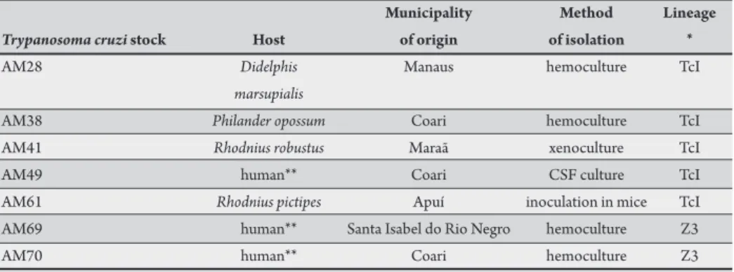 TABLE 1 - Host, municipality of origin, method of isolation, and genetic lineage of the Trypanosoma cruzi  stocks from the State of Amazonas, Brazil.