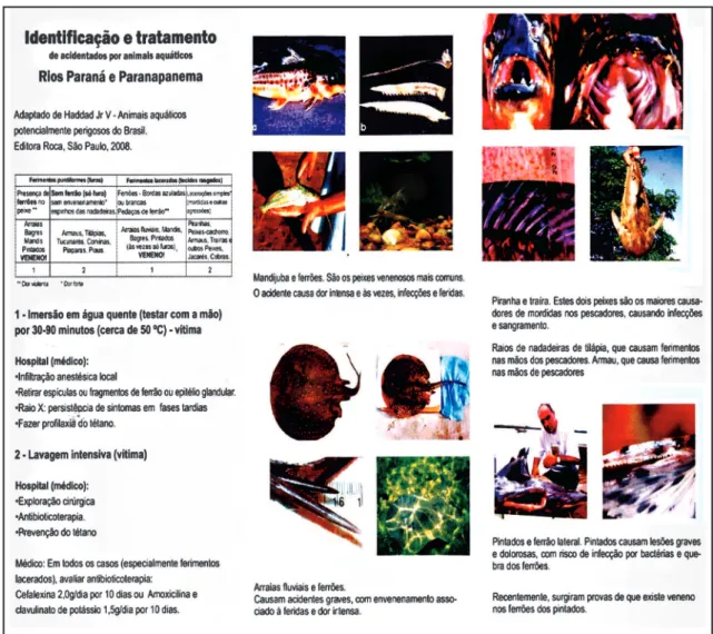 FIGURE 4 - Inside face of the pamphlet with suggested guidelines. he pamphlet used in the campaigns and distributed in the region was  ceded by the authors for publication