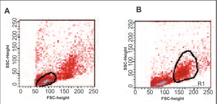 FIGURE 2 - Two e x vivo  proiles of lymphocytes (A) and monocytes (B) from peripheral blood  mononuclear cells derived from a prior extrapulmonary tuberculosis patient.